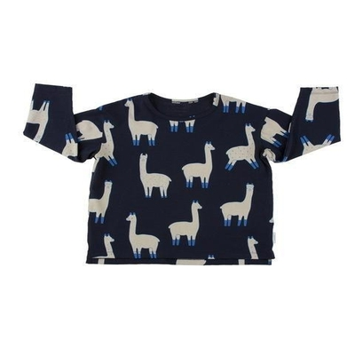 Boys Tiny Fashion Kiki Dinosaur Tshirt