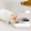 Anti-slip ABS Cat Food Dog Automatic Feeder Water Dispenser Bump baby and beyond