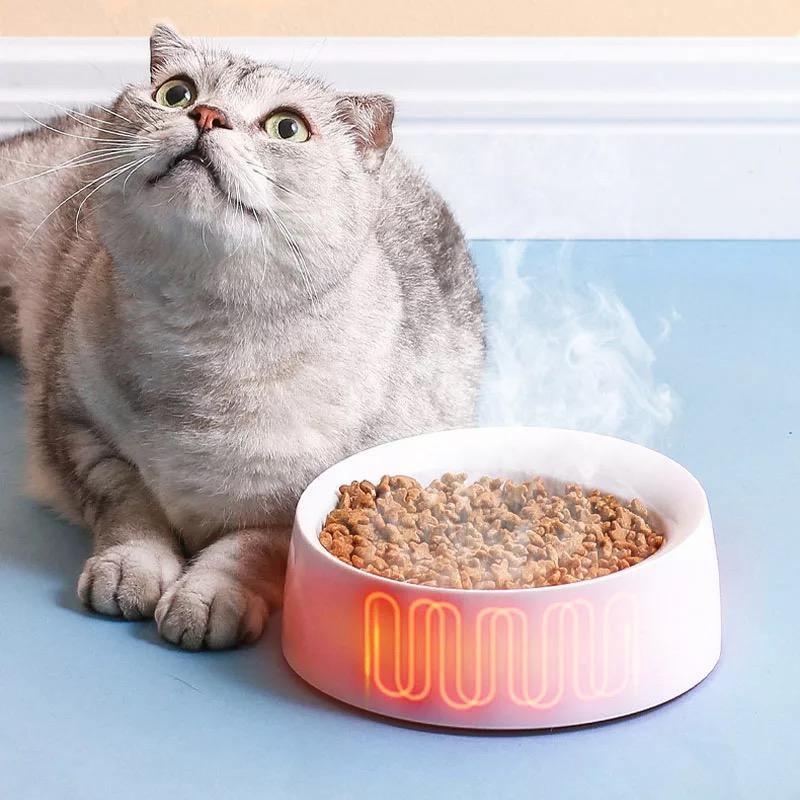 Pet Bowl Feeder Cat Pet Supplies Single Bowl Bump baby and beyond